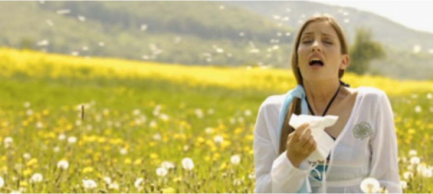 Allergia ai pollini: consigli sulla prevenzione