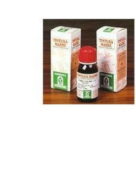 SP.AESCULUS Hipp.TM 50ml