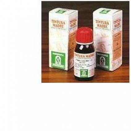 SP.AESCULUS Hipp.TM 50ml