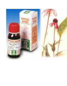 SP.ECHINACEA ANGUS. TM 50ml