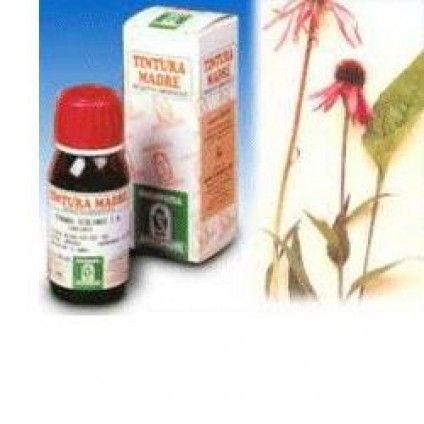 SP.ECHINACEA ANGUS. TM 50ml