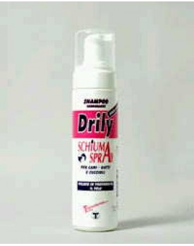DRILY Shampoo Secco  200ml