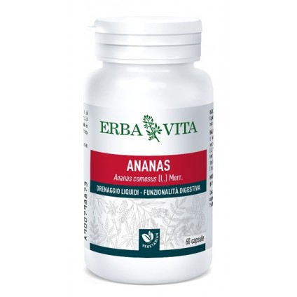 ANANAS  60 Cps 500mg       EBV