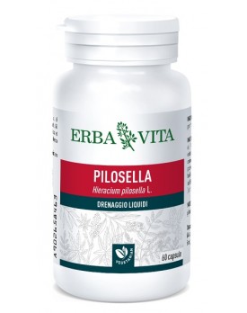 PILOSELLA 60 Cps 350mg     EBV