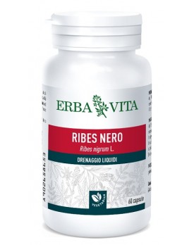 RIBES NERO 60 Cps 450mg    EBV