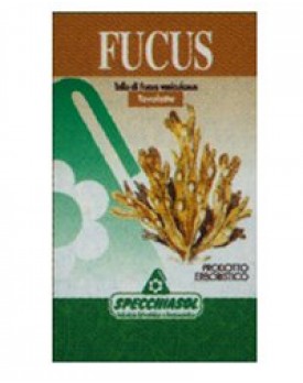 FUCUS ERBE 150TAV