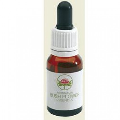 GREY SPIDER FLOWER Gtt 15ml