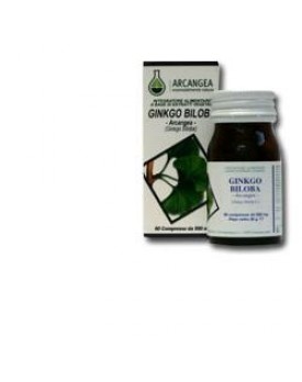 GINKGO BILOBA 60 Cps ACN