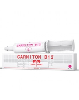 CARNITON B12 Pasta Sir.100g