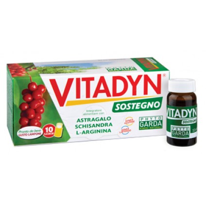 VITADYN Sostegno 10fl.10ml