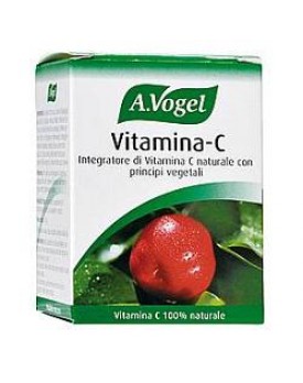 FdL Vitamina C 40 Past.41,5g