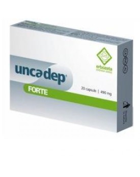 UNCADEP Fte 20 Cps