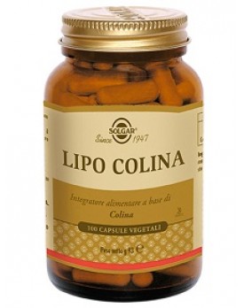 LIPO COLINA 100 Cps 100mgSOLGA