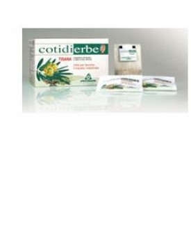 COTIDIERBE TISANA 15BUST 27G