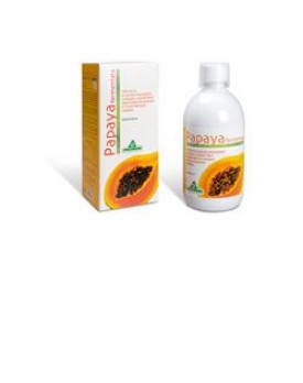 PAPAYA FERMENTATA 500ML