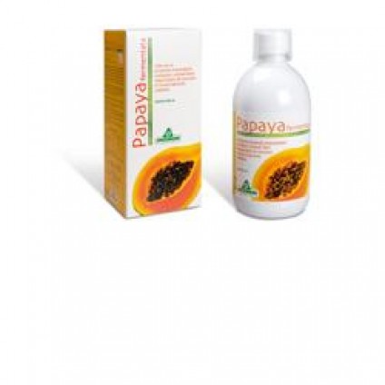 PAPAYA FERMENTATA 500ML