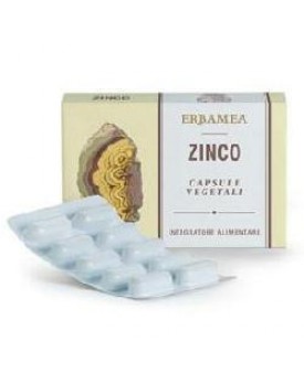 ZINCO 24 Cps Veg.EBM