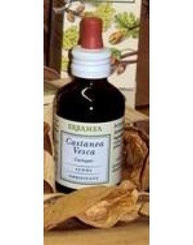 CASTANEA VESCA GEMME GD EBM