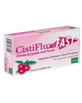 CISTIFLUX Fast 14 Cpr mast.