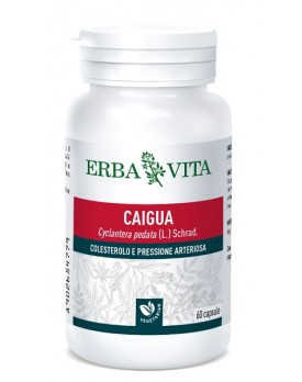 CAIGUA 60 Cps 400mg        EBV