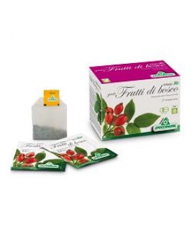 INFUSO BIO FRUTTABOSCO 20FILT