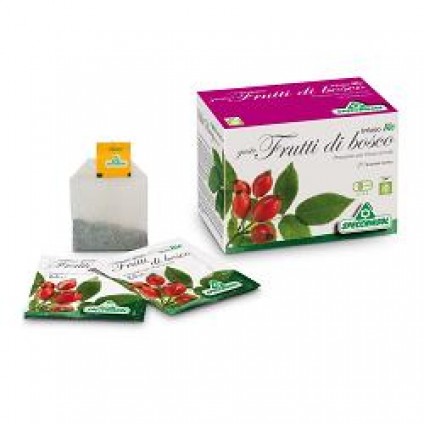 INFUSO BIO FRUTTABOSCO 20FILT