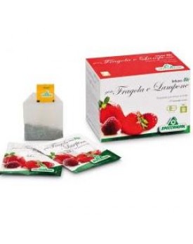 INFUSO FRAGOLA/LAMPONE 20BUST