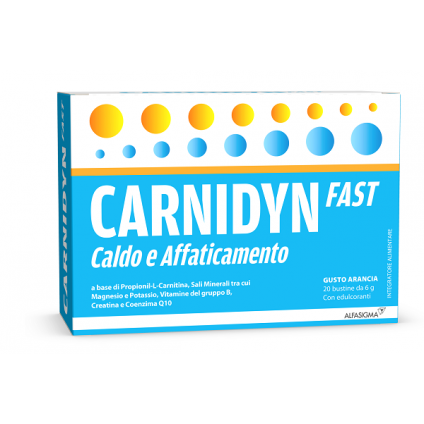 CARNIDYN FAST MAGNESIO/POTASSIO 20 BUSTINE