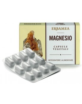 MAGNESIO 24 Cps 1200mg EBM