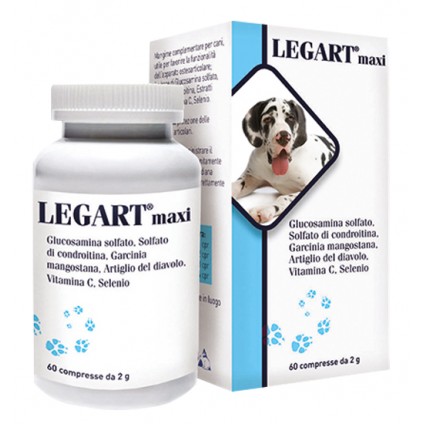 LEGART MAXI 60CPR