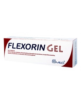FLEXORIN Gel 100ml