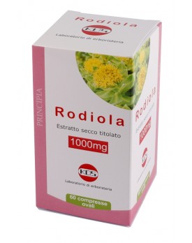 RODIOLA 1000mg 60 Cpr KOS