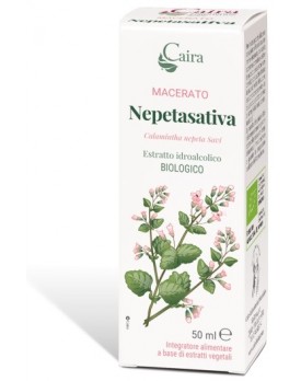 CAIRA NEPETASATIVA Macerato