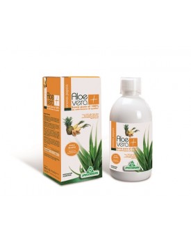 SUCCO ALOEVERA+ ANAN/PAP1000ML