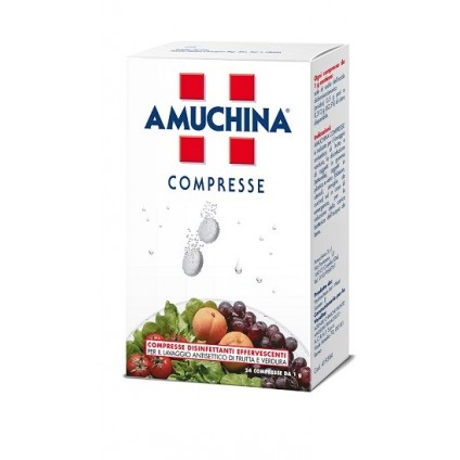 AMUCHINA COMPRESSE 1 G 24 PEZZI