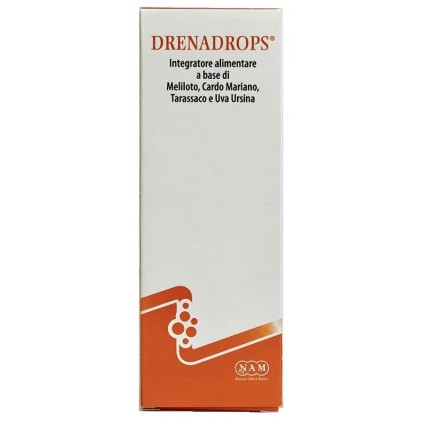 DRENADROPS Sol.Idroalc.100ml