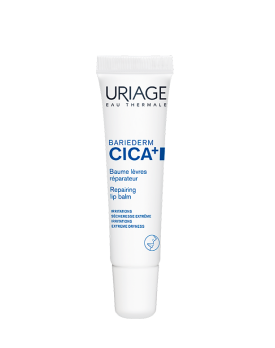BARIEDERM CICA-LEVRES 15 ML