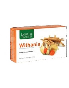 WITHANIA 60 Cps NSE