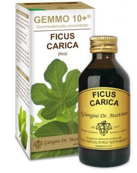 FICUS CARICA Gemmo 10+100ml