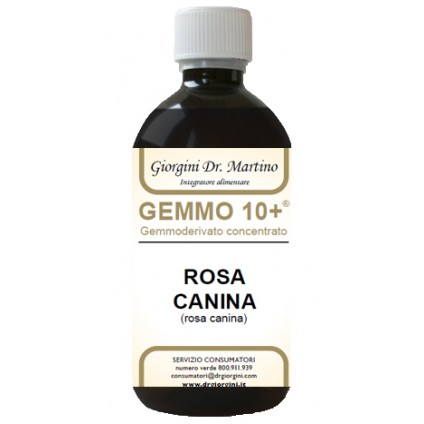 ROSA CANINA Anal.Gemmo10+500ml