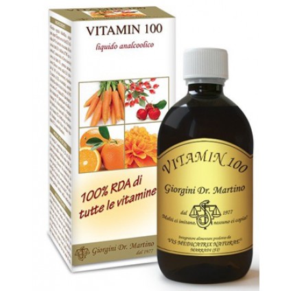 VITAMIN 100 Liq.Analc.500mlSVS