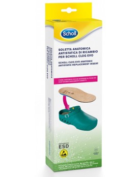 CLOG EVO Soletta A-Static39/40