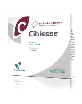 CIBIESSE 20 Bust.