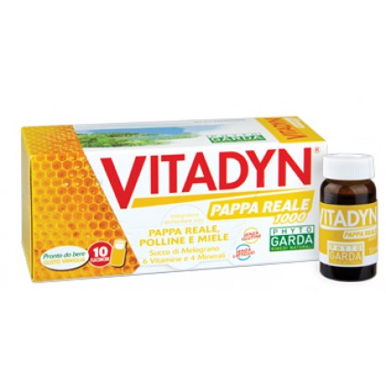 VITADYN Pappa Reale 10fl.10ml