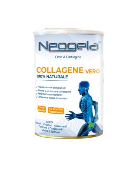 NEOGELA Polv.400g