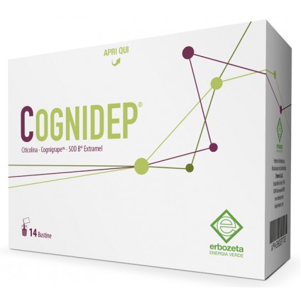 COGNIDEP 14 BUSTINE