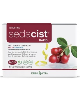 SEDACIST RAPID 6 + 6 BUSTINE