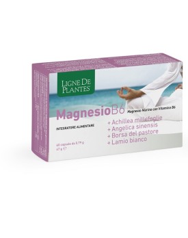 LIGNE MG B6+ACH+ANG+PAST+LAM