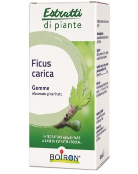 BO.FICUS CARICA MG 60ml