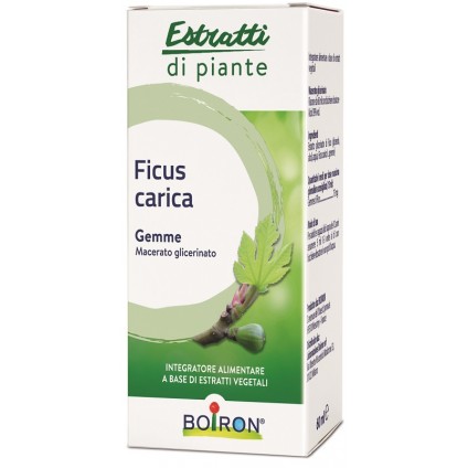 BO.FICUS CARICA MG 60ml